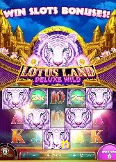Estatísticas do Jogo 19n